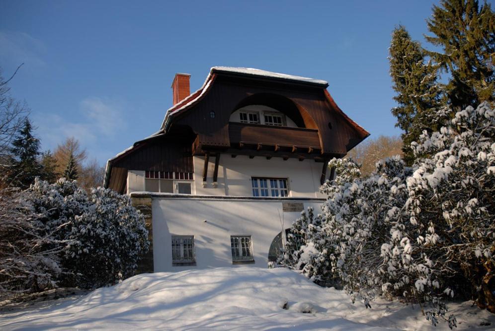 Villa Saengerstein إيزيناخ المظهر الخارجي الصورة